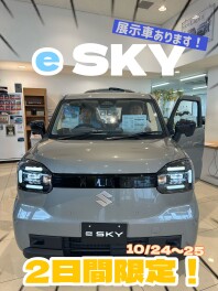 e SKY展示車あります！